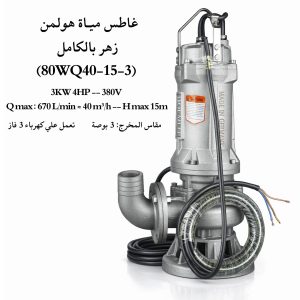 غاطس مياة زهـر بالكامـل هولمن الماني 4 حصان (80WQ40-15-3)