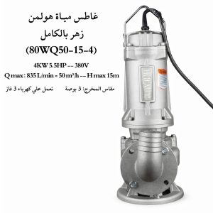 غاطس مياة زهـر بالكامـل هولمن الماني 5.5 حصان (80WQ50-15-4)