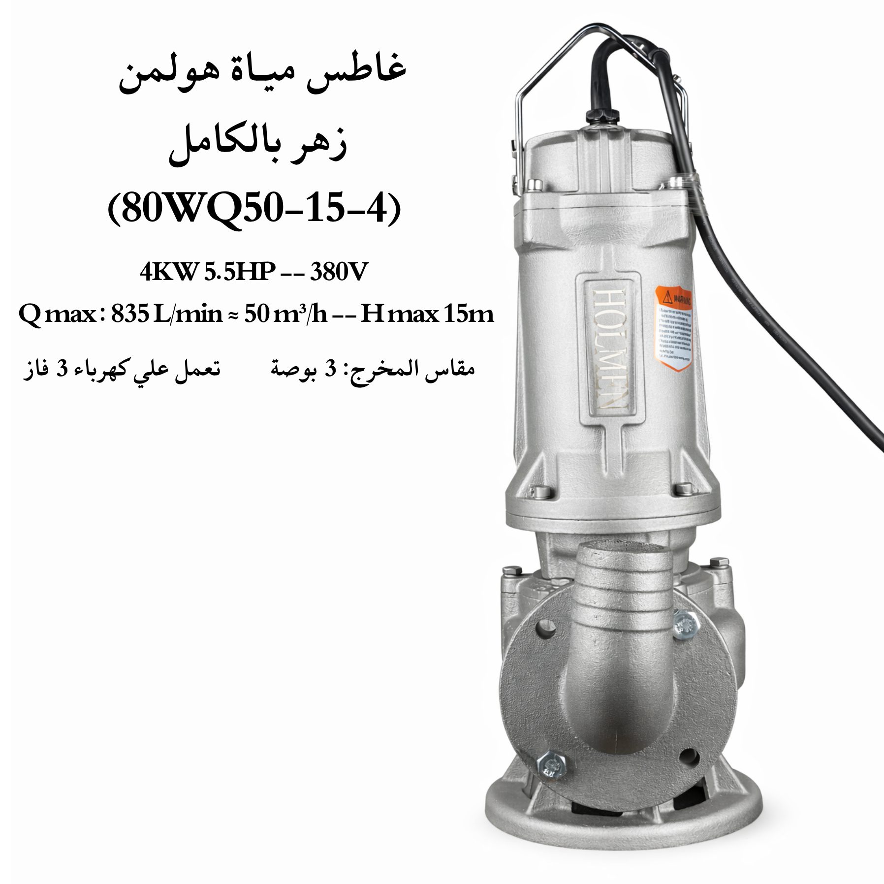 غاطس مياة زهـر بالكامـل هولمن الماني 5.5 حصان (80WQ50-15-4)