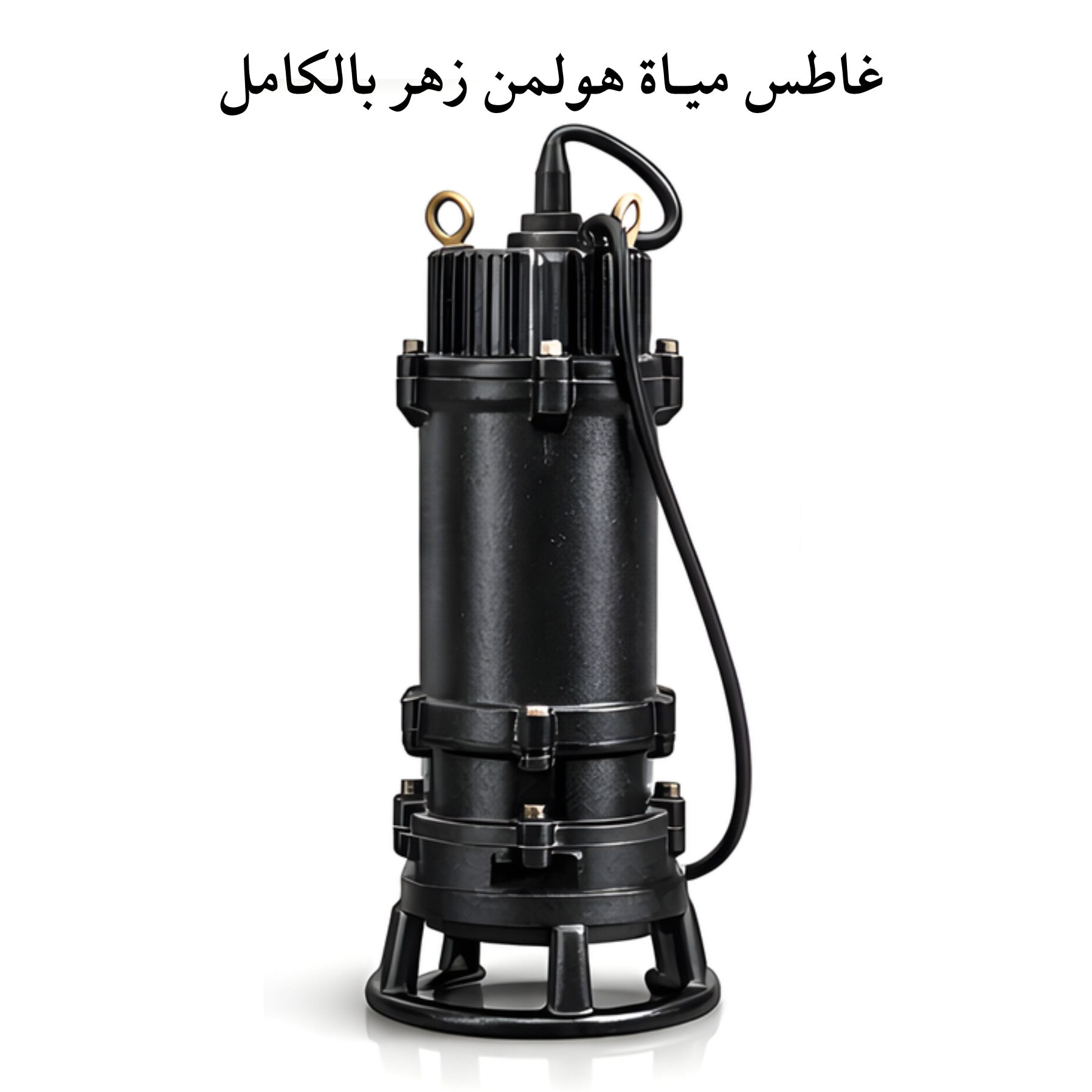غاطس مياة زهـر بالكامـل هولمن الماني 1 حصان بـمفرمة مطحنة استانلس (50WQAS10-10-0.75) - الصورة 6