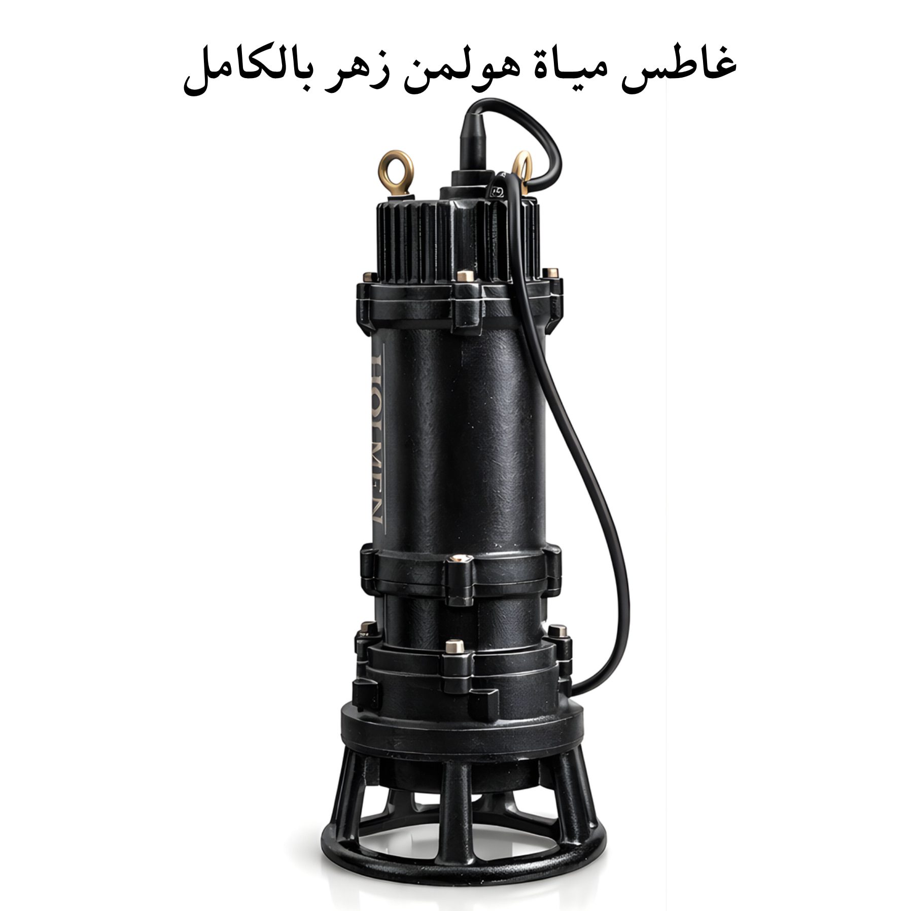 غاطس مياة زهـر بالكامـل هولمن الماني 3 حصان بـمفرمة مطحنة استانلس (50WQAS35-20-2.2) - الصورة 3