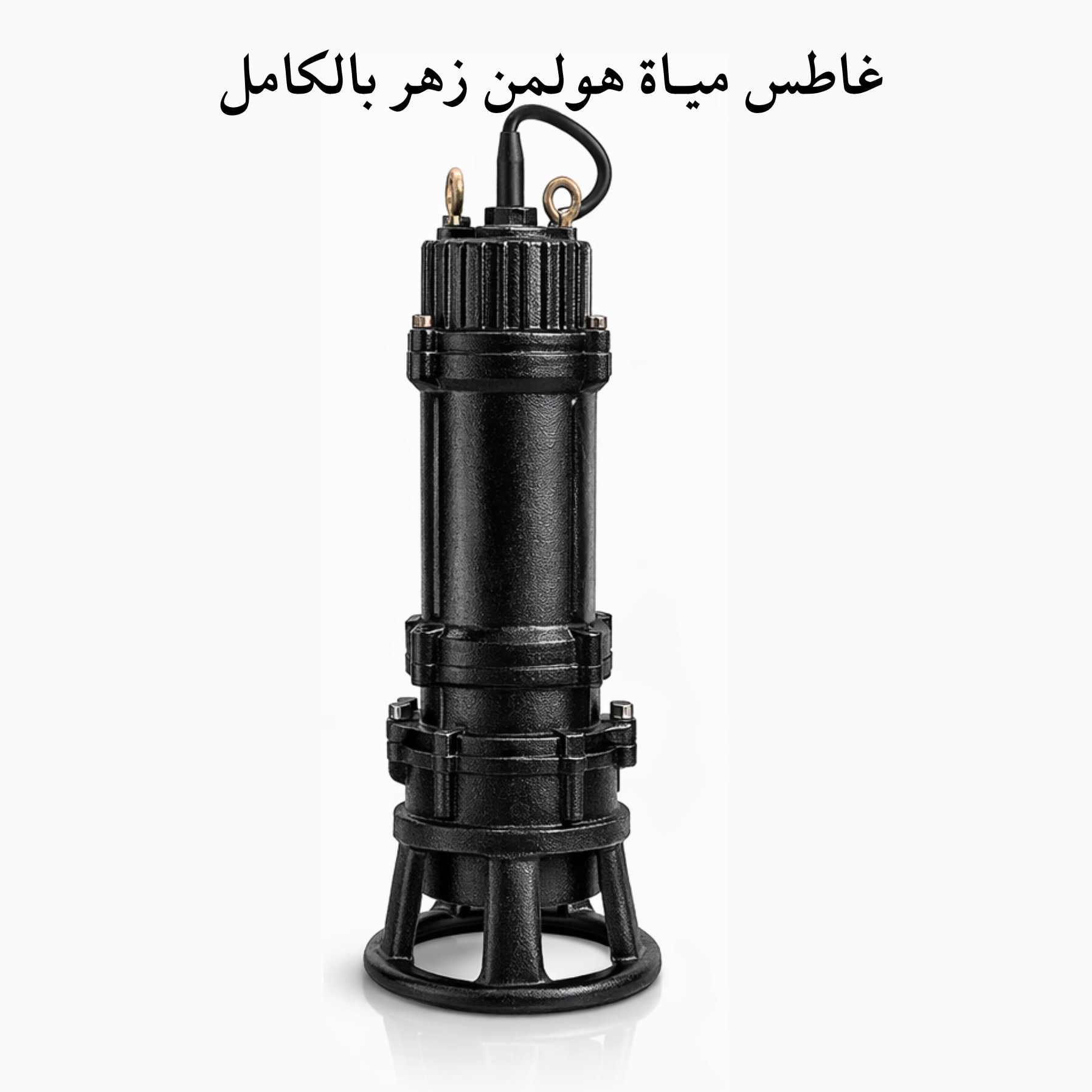 غاطس مياة زهـر بالكامـل هولمن الماني 3 حصان بـمفرمة مطحنة استانلس (50WQAS35-20-2.2) - الصورة 4
