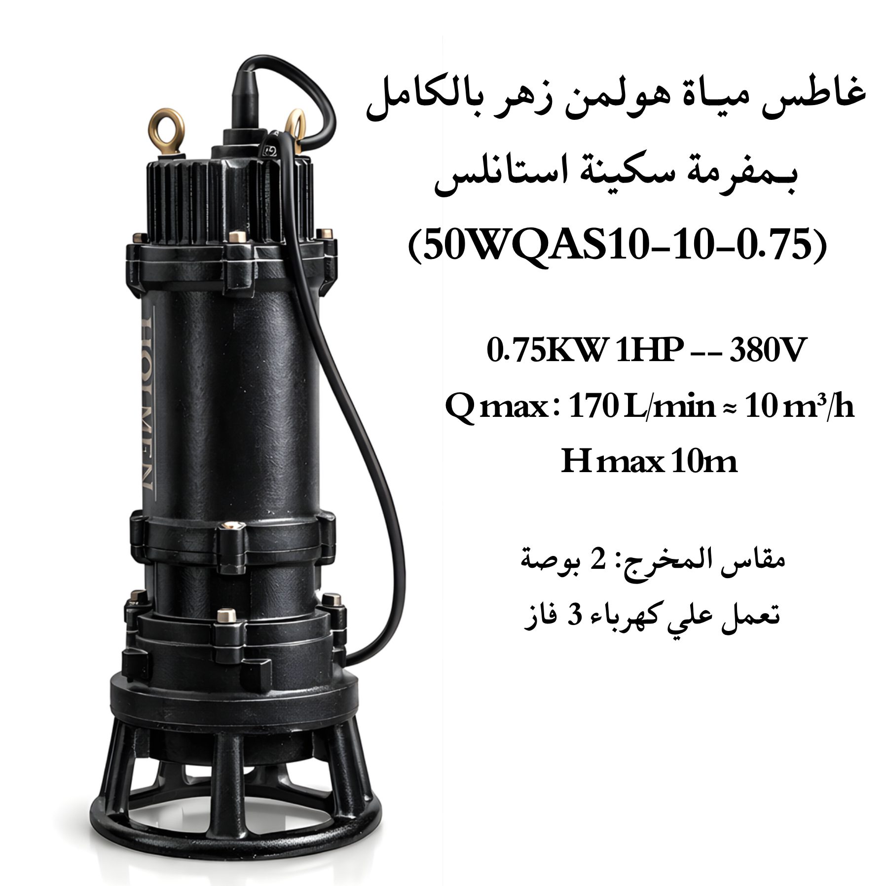 غاطس مياة زهـر بالكامـل هولمن الماني 1 حصان بـمفرمة مطحنة استانلس (50WQAS10-10-0.75)