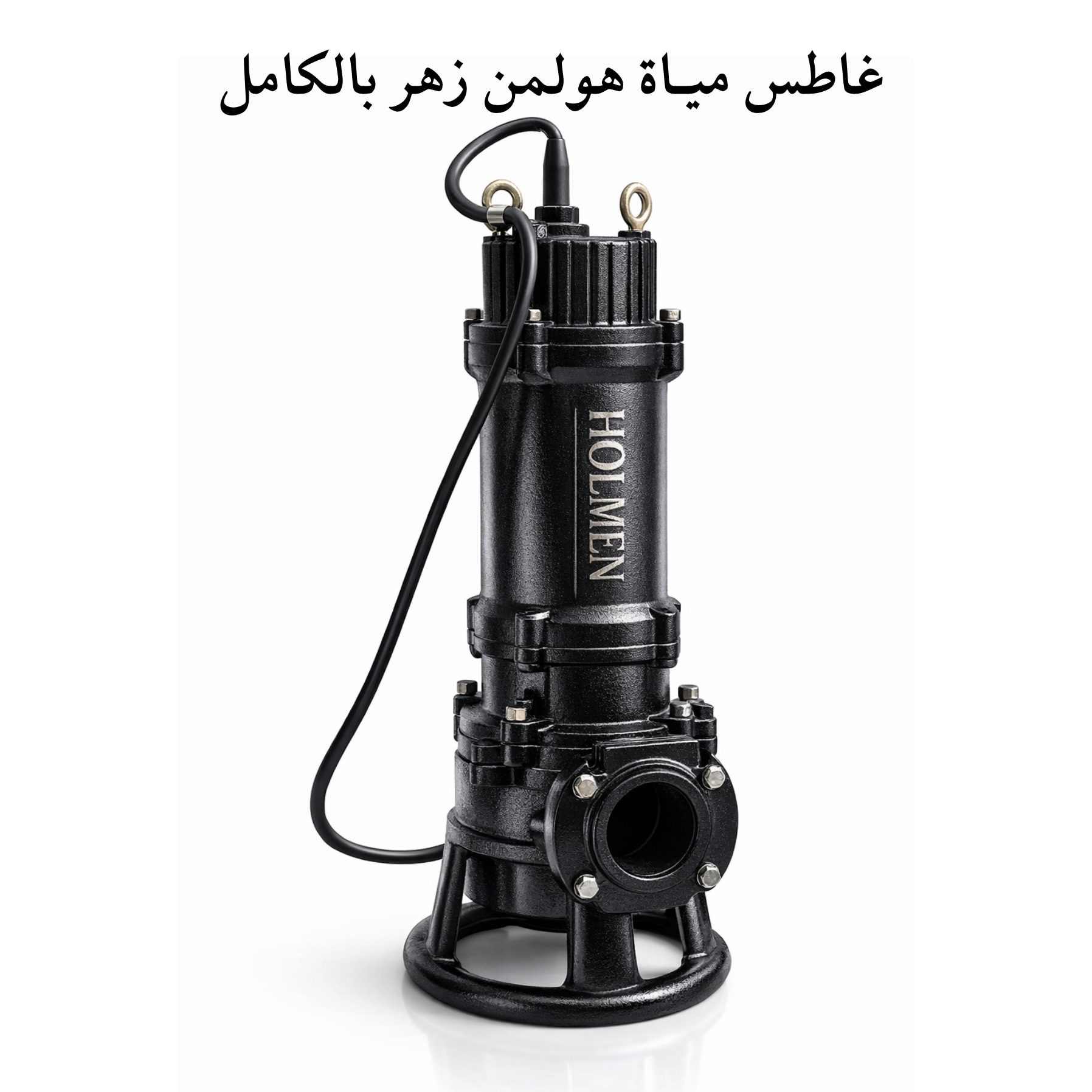 غاطس مياة زهـر بالكامـل هولمن الماني 1 حصان بـمفرمة مطحنة استانلس (50WQAS10-10-0.75) - الصورة 3